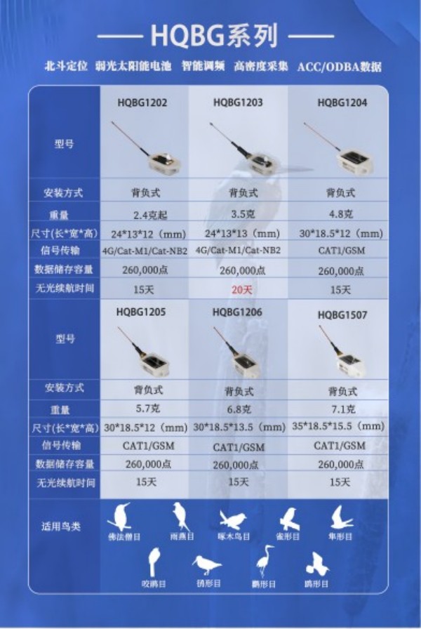 7790�ط����Ź������,����Ұ������׷��,��������׷����,����׷����